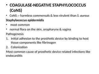 staphylococcus oral microbiology bds.pptx