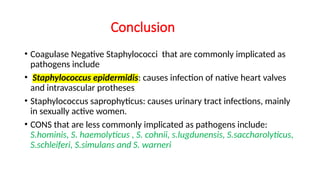 Comprehensive Overview of Staphylococci: Biology, Pathogenesis, and ...