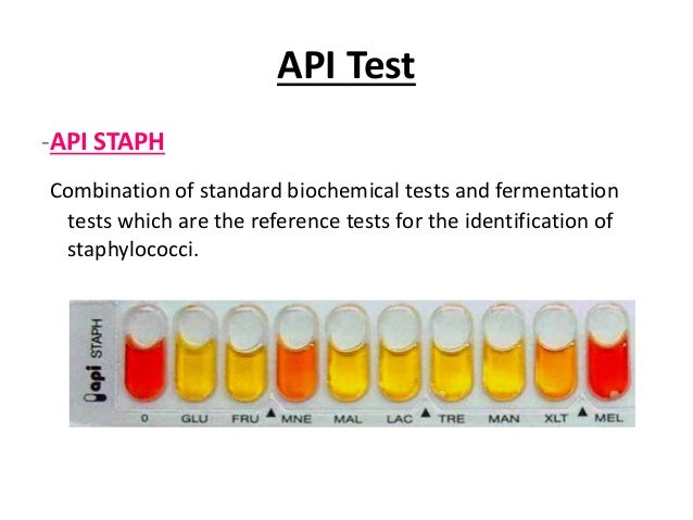 Staphylococcus aureus