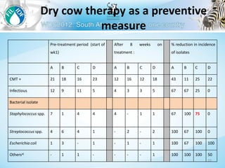 Management to prevent Staphylococcus aureus mastitis in small-scale dairy farms in Tanzania