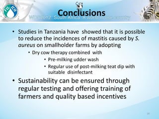 Management to prevent Staphylococcus aureus mastitis in small-scale dairy farms in Tanzania