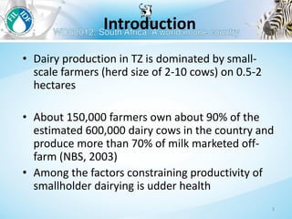 Management to prevent Staphylococcus aureus mastitis in small-scale dairy farms in Tanzania