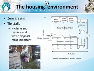 Management to prevent Staphylococcus aureus mastitis in small-scale dairy farms in Tanzania