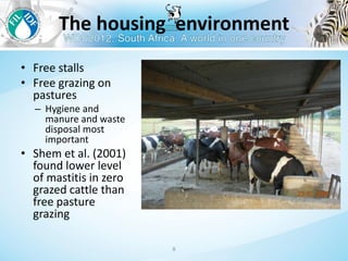 Management to prevent Staphylococcus aureus mastitis in small-scale dairy farms in Tanzania
