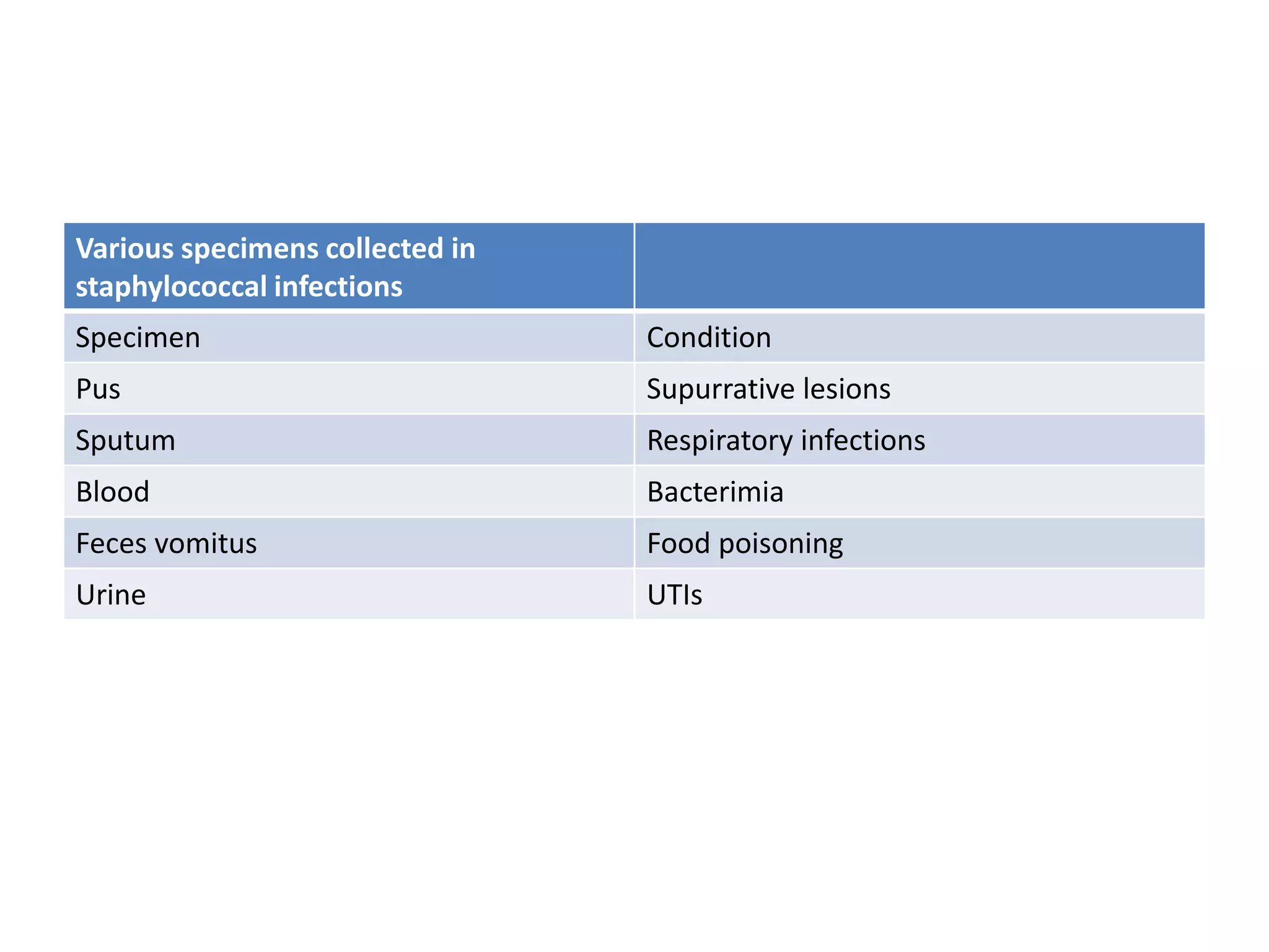 Various specimens collected in
staphylococcal infections
Specimen Condition
Pus Supurrative lesions
Sputum Respiratory infections
Blood Bacterimia
Feces vomitus Food poisoning
Urine UTIs
 