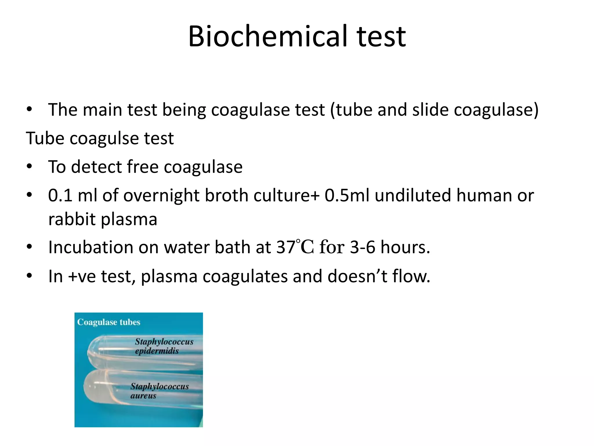 Biochemical test
• The main test being coagulase test (tube and slide coagulase)
Tube coagulse test
• To detect free coagulase
• 0.1 ml of overnight broth culture+ 0.5ml undiluted human or
rabbit plasma
• Incubation on water bath at 37°C for 3-6 hours.
• In +ve test, plasma coagulates and doesn’t flow.
 