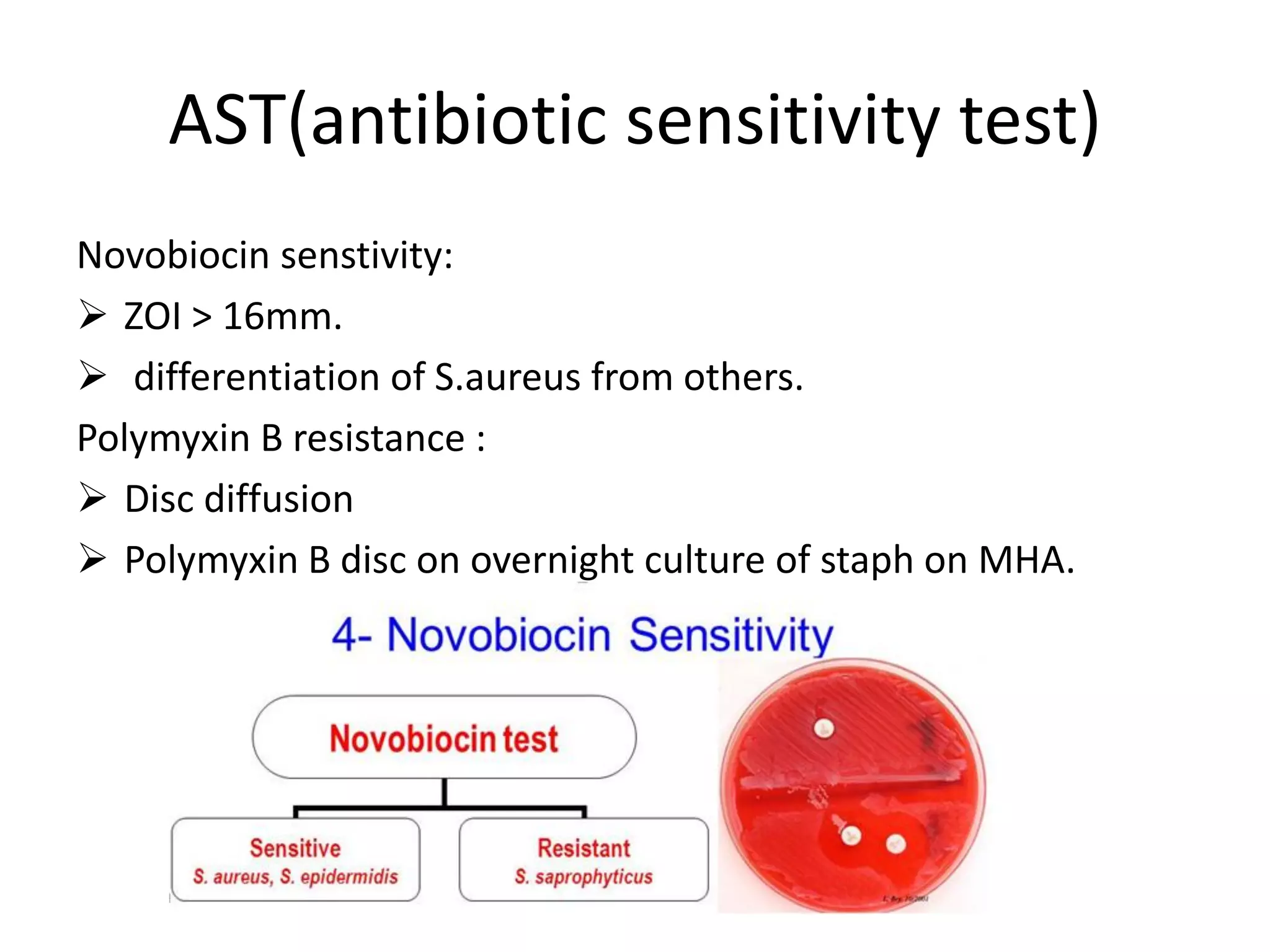 AST(antibiotic sensitivity test)
Novobiocin senstivity:
➢ ZOI > 16mm.
➢ differentiation of S.aureus from others.
Polymyxin B resistance :
➢ Disc diffusion
➢ Polymyxin B disc on overnight culture of staph on MHA.
 