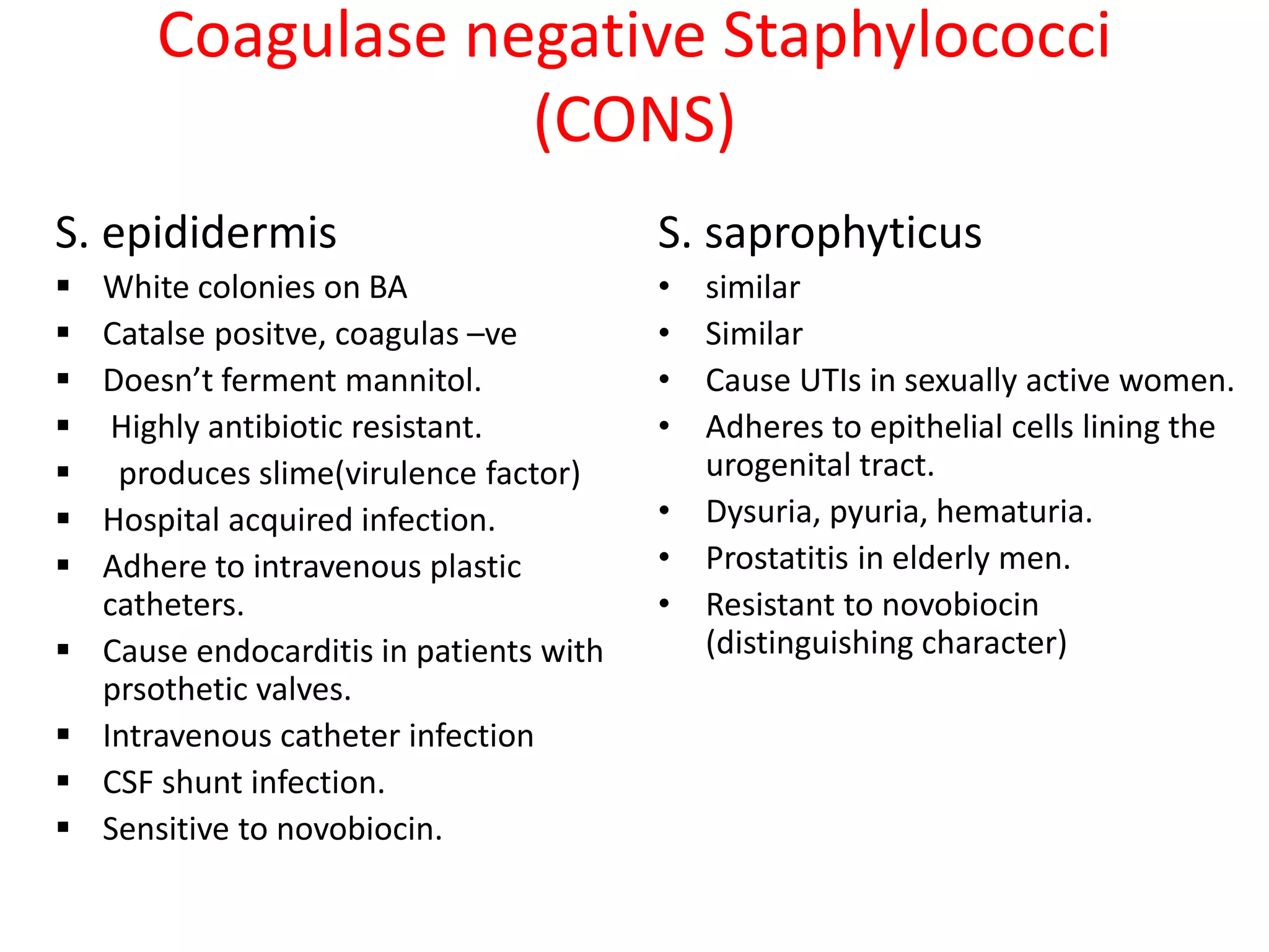 Coagulase negative Staphylococci
(CONS)
S. epididermis
▪ White colonies on BA
▪ Catalse positve, coagulas –ve
▪ Doesn’t ferment mannitol.
▪ Highly antibiotic resistant.
▪ produces slime(virulence factor)
▪ Hospital acquired infection.
▪ Adhere to intravenous plastic
catheters.
▪ Cause endocarditis in patients with
prsothetic valves.
▪ Intravenous catheter infection
▪ CSF shunt infection.
▪ Sensitive to novobiocin.
S. saprophyticus
• similar
• Similar
• Cause UTIs in sexually active women.
• Adheres to epithelial cells lining the
urogenital tract.
• Dysuria, pyuria, hematuria.
• Prostatitis in elderly men.
• Resistant to novobiocin
(distinguishing character)
 