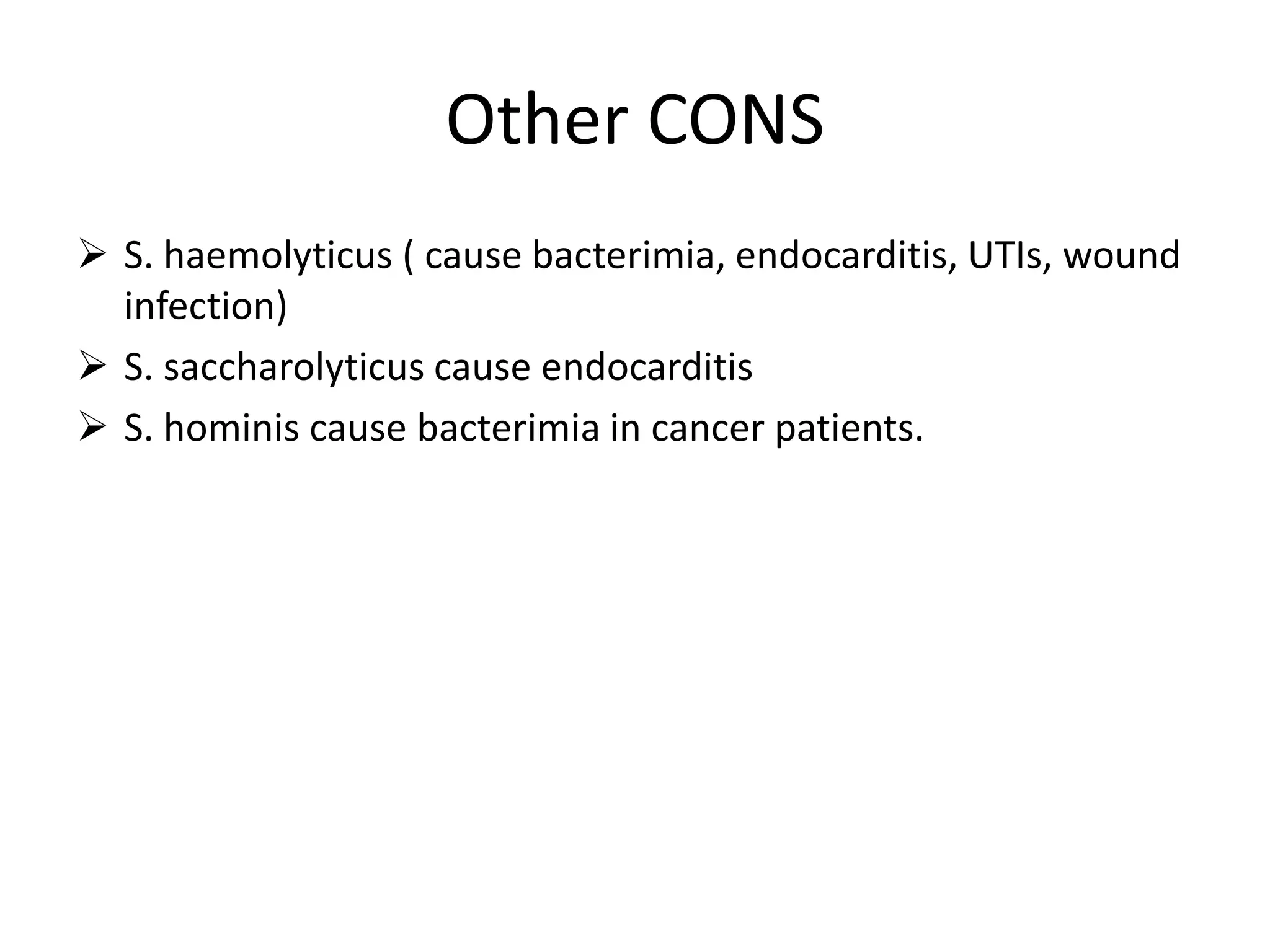 Other CONS
➢ S. haemolyticus ( cause bacterimia, endocarditis, UTIs, wound
infection)
➢ S. saccharolyticus cause endocarditis
➢ S. hominis cause bacterimia in cancer patients.
 
