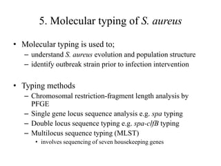 Spa Typing Examples Staphylococcus prof ss taiwo | PPTX