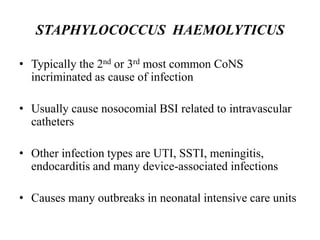 Staphylococcus prof ss taiwo | PPTX