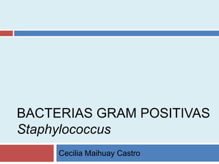 BACTERIAS GRAM POSITIVAS
Staphylococcus
Cecilia Maihuay Castro
 