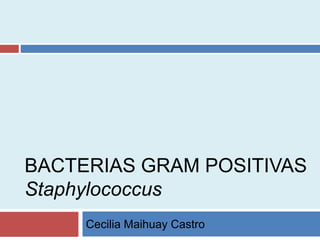 BACTERIAS GRAM POSITIVAS
Staphylococcus
Cecilia Maihuay Castro
 