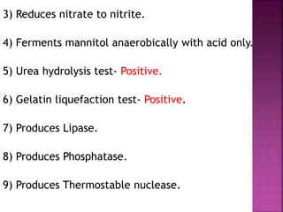 3) Reduces nitrate to nitrite.
4) Ferments mannitol anaerobically with acid only.
5) Urea hydrolysis test- Positive.
6) Gelatin liquefaction test- Positive.
7) Produces Lipase.
8) Produces Phosphatase.
9) Produces Thermostable nuclease.
 