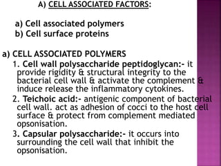 A) CELL ASSOCIATED FACTORS:
a) Cell associated polymers
b) Cell surface proteins
a) CELL ASSOCIATED POLYMERS
1. Cell wall polysaccharide peptidoglycan:- it
provide rigidity & structural integrity to the
bacterial cell wall & activate the complement &
induce release the inflammatory cytokines.
2. Teichoic acid:- antigenic component of bacterial
cell wall. act as adhesion of cocci to the host cell
surface & protect from complement mediated
opsonisation.
3. Capsular polysaccharide:- it occurs into
surrounding the cell wall that inhibit the
opsonisation.
 