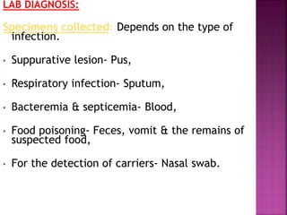 LAB DIAGNOSIS:
Specimens collected: Depends on the type of
infection.
• Suppurative lesion- Pus,
• Respiratory infection- Sputum,
• Bacteremia & septicemia- Blood,
• Food poisoning- Feces, vomit & the remains of
suspected food,
• For the detection of carriers- Nasal swab.
 
