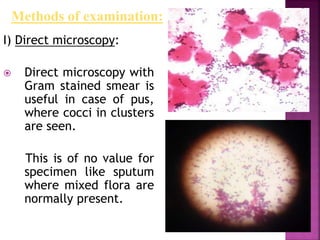 I) Direct microscopy:
 Direct microscopy with
Gram stained smear is
useful in case of pus,
where cocci in clusters
are seen.
This is of no value for
specimen like sputum
where mixed flora are
normally present.
Methods of examination:
 