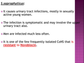 S.saprophyticus:
 It causes urinary tract infections, mostly in sexually
active young women.
 The infection is symptomatic and may involve the upper
urinary tract also.
 Men are infected much less often.
 It is one of the few frequently isolated CoNS that is
resistant to Novobiocin.
 