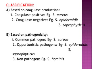 CLASSIFICATION:
A) Based on coagulase production:
1. Coagulase positive: Eg- S. aureus
2. Coagulase negative: Eg- S. epidermidis
S. saprophyticus
B) Based on pathogenicity:
1. Common pathogen: Eg- S. aureus
2. Opportunistic pathogens: Eg- S. epidermidis
S.
saprophyticus
3. Non pathogen: Eg- S. hominis
 
