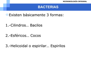 BACTERIAS Existen básicamente 3 formas: 1.-Cilindros… Bacilos 2.-Esféricos… Cocos 3.-Helicoidal o espirilar… Espirilos 