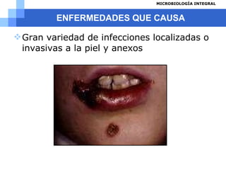 ENFERMEDADES QUE CAUSA Gran variedad de infecciones localizadas o invasivas a la piel y anexos 