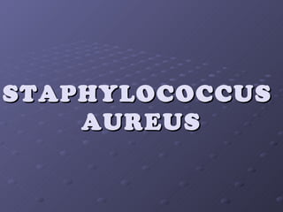 STAPHYLOCOCCUS
    AUREUS
 