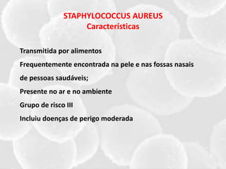 STAPHYLOCOCCUS AUREUS
Características
Transmitida por alimentos
Frequentemente encontrada na pele e nas fossas nasais
de pessoas saudáveis;
Presente no ar e no ambiente
Grupo de risco III
Incluiu doenças de perigo moderada
 