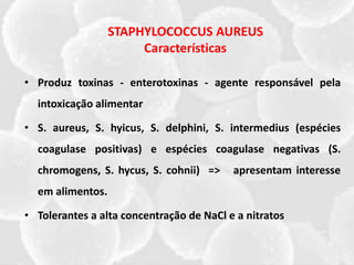 • Produz toxinas - enterotoxinas - agente responsável pela
intoxicação alimentar
• S. aureus, S. hyicus, S. delphini, S. intermedius (espécies
coagulase positivas) e espécies coagulase negativas (S.
chromogens, S. hycus, S. cohnii) => apresentam interesse
em alimentos.
• Tolerantes a alta concentração de NaCl e a nitratos
STAPHYLOCOCCUS AUREUS
Características
 
