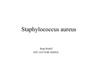 Staphylococcus aureus
Buga Rudolf
HTC LECTURE SERIES.
1
 