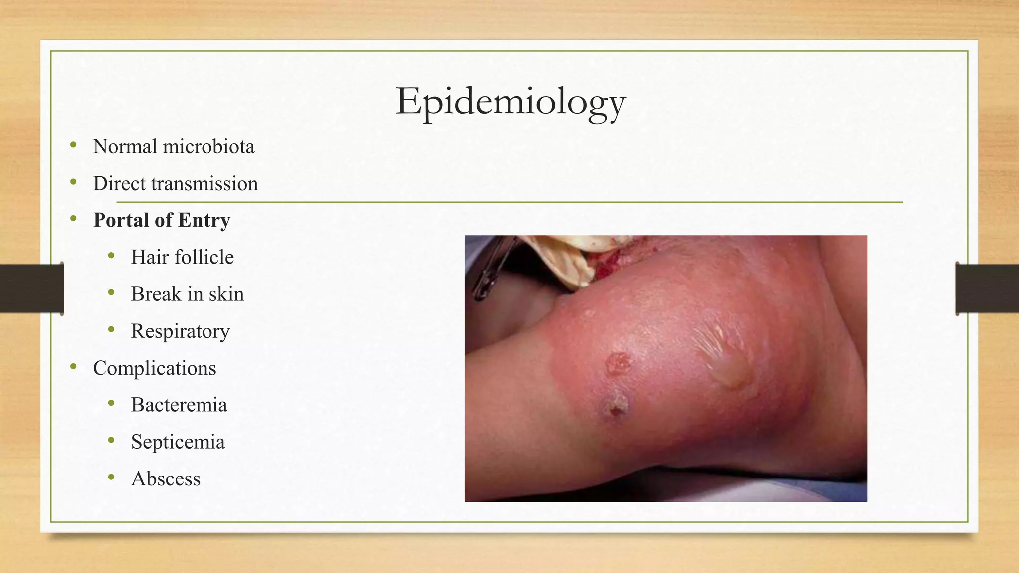 Epidemiology
• Normal microbiota
• Direct transmission
• Portal of Entry
• Hair follicle
• Break in skin
• Respiratory
• Complications
• Bacteremia
• Septicemia
• Abscess
 