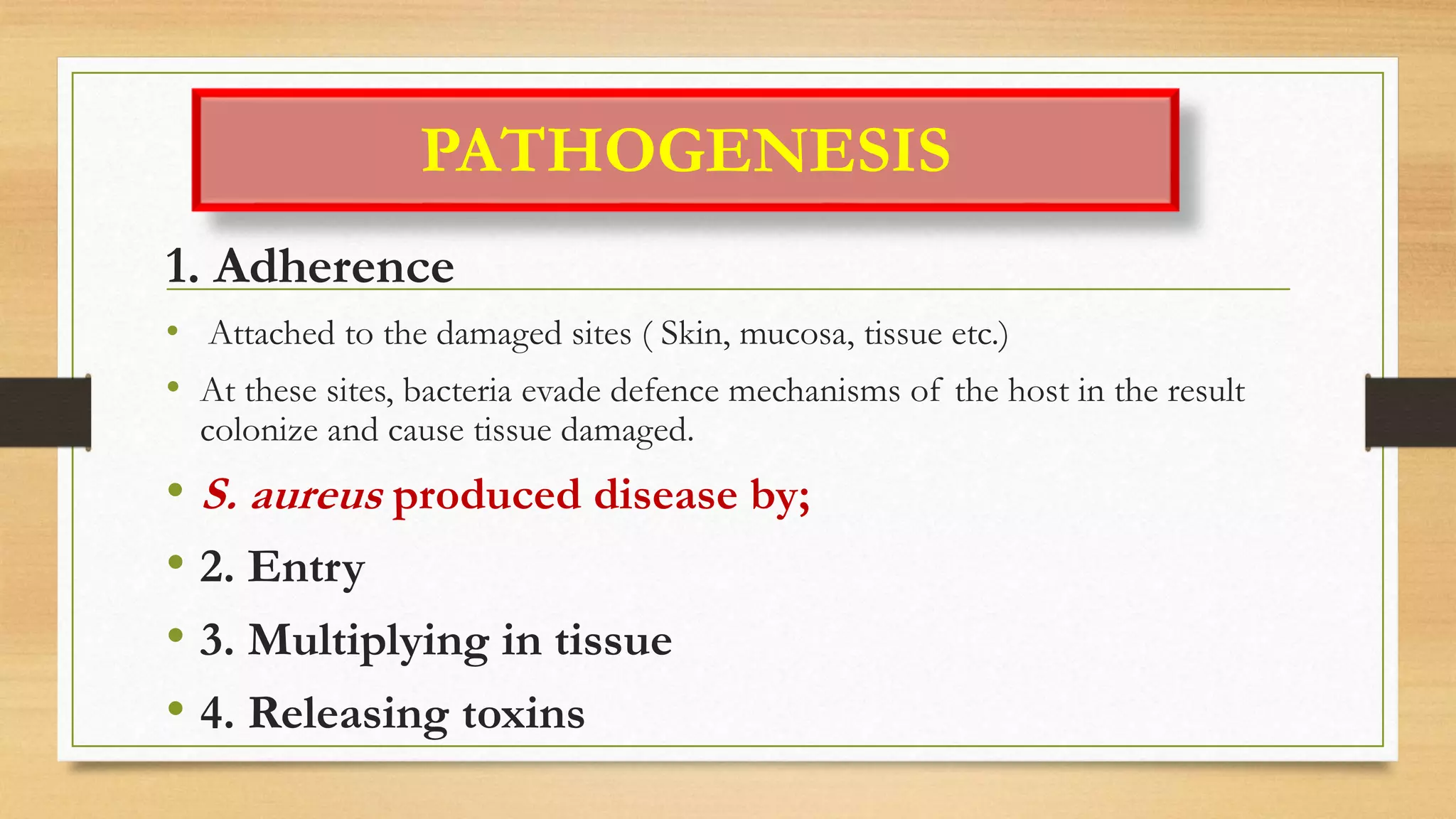 PATHOGENESIS
1. Adherence
• Attached to the damaged sites ( Skin, mucosa, tissue etc.)
• At these sites, bacteria evade defence mechanisms of the host in the result
colonize and cause tissue damaged.
• S. aureus produced disease by;
• 2. Entry
• 3. Multiplying in tissue
• 4. Releasing toxins
 
