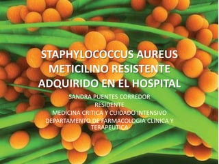 STAPHYLOCOCCUS AUREUS
METICILINO RESISTENTE
ADQUIRIDO EN EL HOSPITAL
SANDRA PUENTES CORREDOR
RESIDENTE
MEDICINA CRITICA Y CUIDADO INTENSIVO
DEPARTAMENTO DE FARMACOLOGIA CLINICA Y
TERAPEUTICA
 