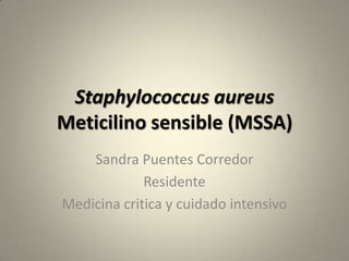 Staphylococcus aureus
Meticilino sensible (MSSA)
Sandra Puentes Corredor
Residente
Medicina critica y cuidado intensivo
 