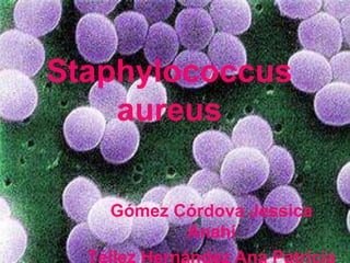 Staphylococcus
aureus
Gómez Córdova Jessica
Anahí
Téllez Hernández Ana Patricia

 