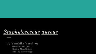 Staphylococcus aureus
By Vanshika Varshney
18081564015 (4621)
Medical Microbiology
BSc (H) Microbiology
 