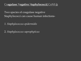 Staphylococcus by nissim | PPTX