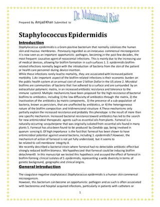 Prepared By Amjad Khan Submitted to
1
StaphylococcusEpidermidis
Introduction
Staphylococcus epidermidis is a Gram-positive bacterium that normally colonizes the human
skin and mucous membranes. Previously regarded as an innocuous commensal microorganism
it is now seen as an important opportunistic pathogen, becoming,in the past few decades, the
most frequent causative agent of nosocomial infections. This is mainly due to the increasing use
of medical devices, allowing for biofilm formation in such surfaces 1. S. epidermidis biofilm-
related infections normally begin with the introduction of bacteria from the skin of the patient
or health care personnel during device insertion.
While these infections rarely lead to mortality, they are associated with increased patient
morbidity 1.An important aspect of the biofilm-related infections is their economic burden on
the public health system at an annual cost of over 2 billion Dollar in the US alone 2. Microbial
biofilms are communities of bacteria that live adhered to a surface and are surrounded by an
extracellular polymeric matrix, in an increased antibiotic resistance and tolerance to the
immune system3. Multiple mechanisms have been proposed for the high resistance of bacterial
biofilms to antibiotics, including 1) the low diffusivity of antibiotics through the matrix, 2) the
inactivation of the antibiotics by matrix components, 3) the presence of a sub-population of
bacteria, known as persisters, that are unaffected by antibiotics, or 4) the heterogeneous
nature of the biofilm composition and tridimensional structure 4.These mechanisms only
partially explain the increased resistance and probably this phenotype is the result of more than
one specific mechanism. Increased bacterial resistance toward antibiotics has led to the search
for new antimicrobial therapeutic agents such as essential oils fromplants. Farnesol is a
naturally-occurring sesquiterpene that was originally isolated from essential oils found in many
plants 5. Farnesol has also been found to be produced by Candida spp, being involved in
quorum sensing 6. Of high importance is the fact that farnesol has been shown to have
antimicrobial potential against several bacteria, including S. epidermidis7.However, the
mechanism of action of farnesol is not yet fully understood, but it seems to
be related to cell membrane integrity 8.
We recently described a bacterial strain where farnesol had no detectable antibiotic effect but
strongly reduced biofilm biomass. We hypothesized that farnesol could be inducing biofilm
detachment9. In this manuscript we tested this hypothesis and assayed the effect of farnesol in
biofilm-forming clinical isolates of S. epidermidis, representing a wide diversity in terms of
genetic background, geographic and clinical origins.
General introduction
The coagulase-negative staphylococci Staphylococcus epidermidis is a human skin commensal
microorganism.
However, this bacterium can become an opportunistic pathogen and as such is often associated
with bacteremia and hospital acquired infections, particularly in patients with catheters or
 