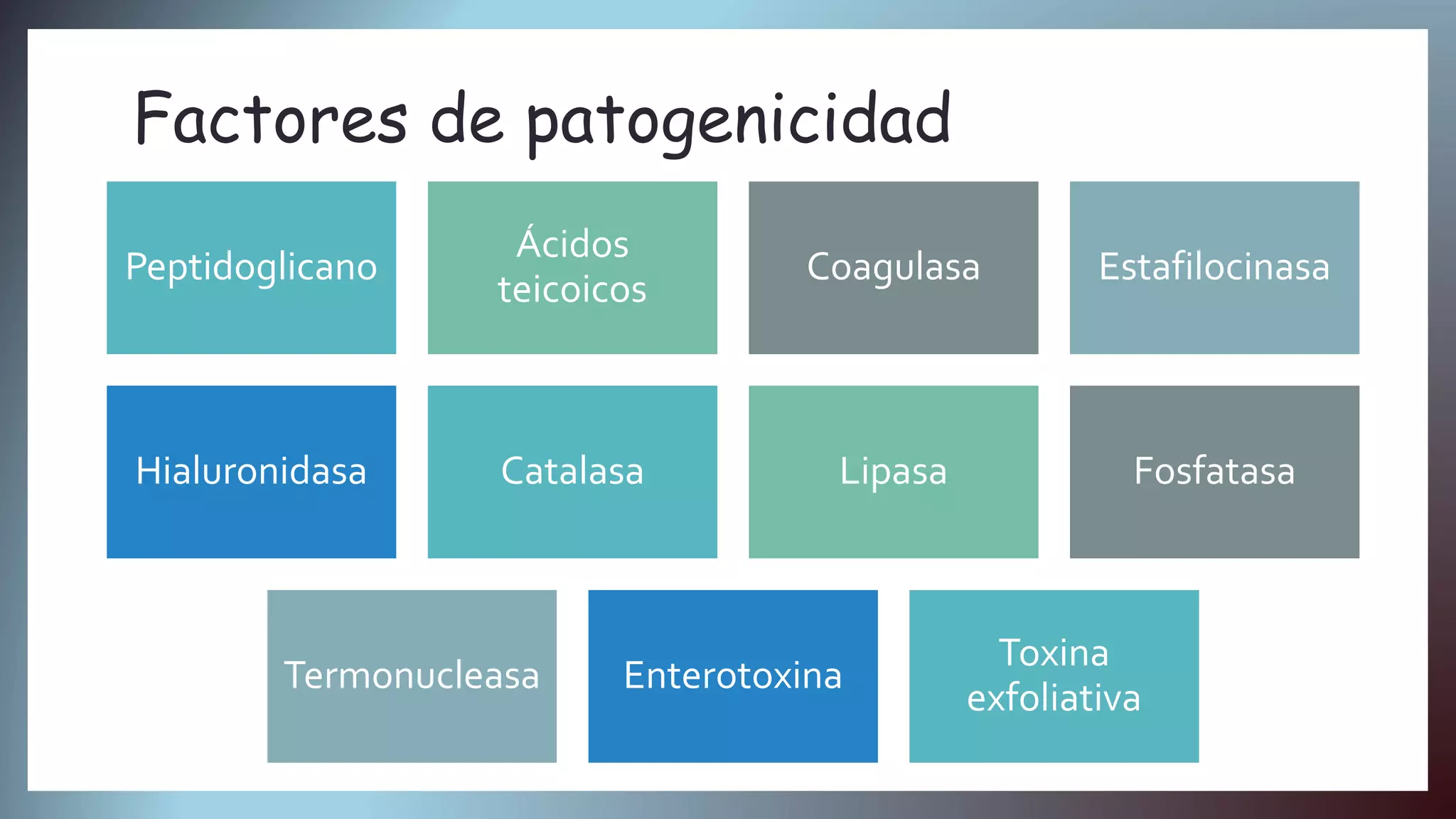 Staphylococcus hyicus veterinaria | PPTX