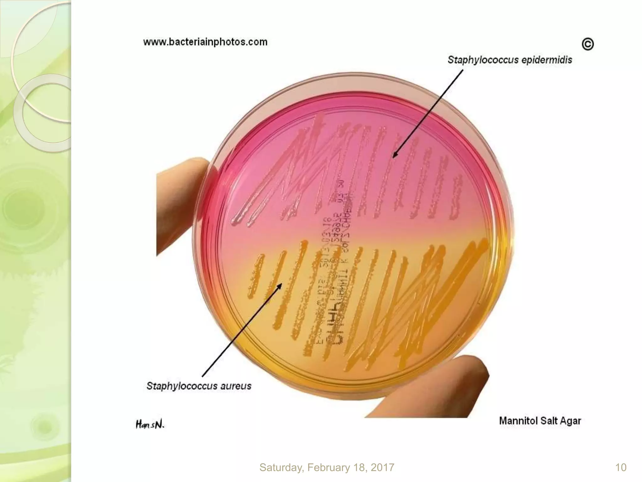 Saturday, February 18, 2017 10
 