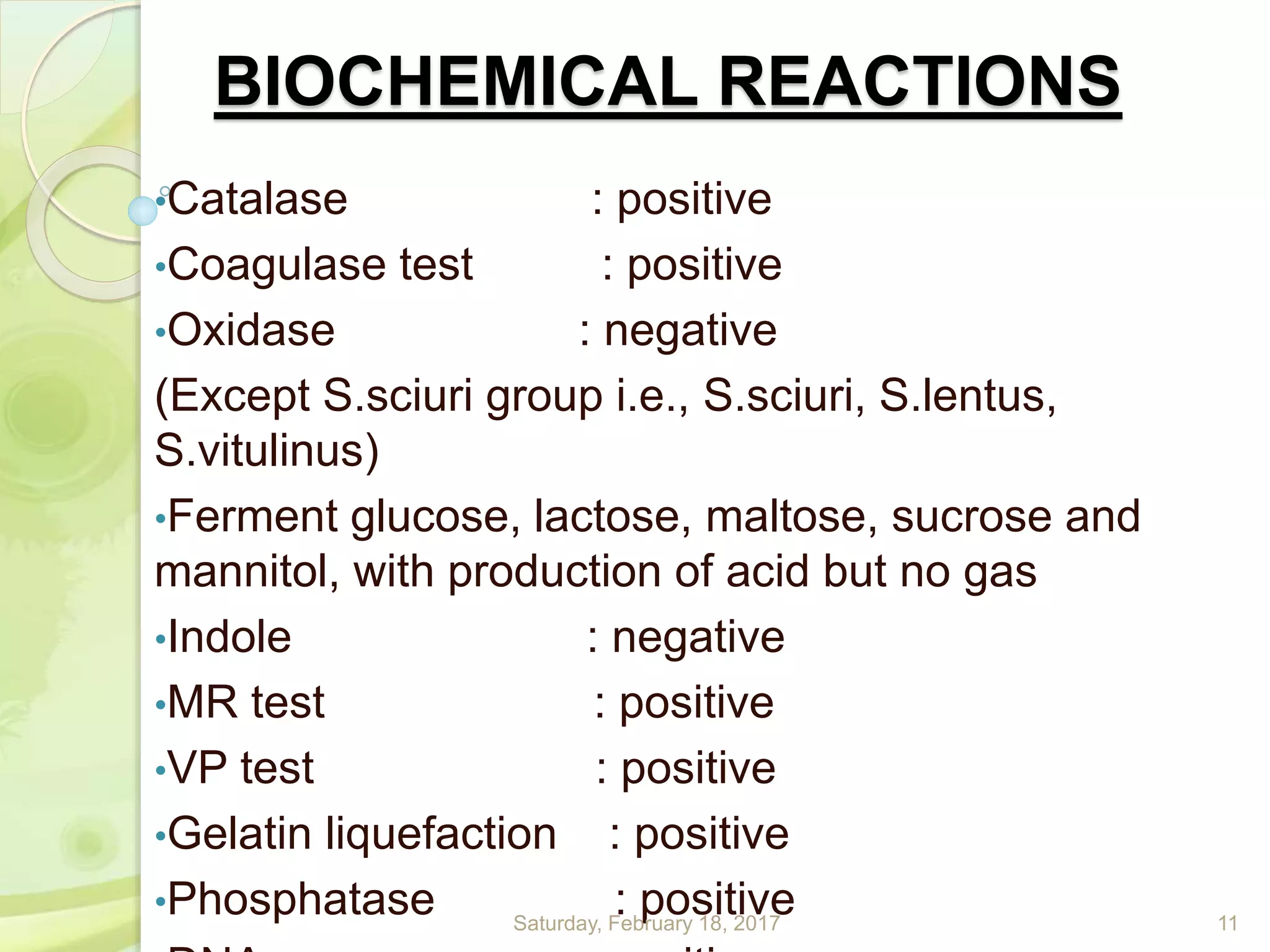BIOCHEMICAL REACTIONS
•Catalase : positive
•Coagulase test : positive
•Oxidase : negative
(Except S.sciuri group i.e., S.sciuri, S.lentus,
S.vitulinus)
•Ferment glucose, lactose, maltose, sucrose and
mannitol, with production of acid but no gas
•Indole : negative
•MR test : positive
•VP test : positive
•Gelatin liquefaction : positive
•Phosphatase : positiveSaturday, February 18, 2017 11
 