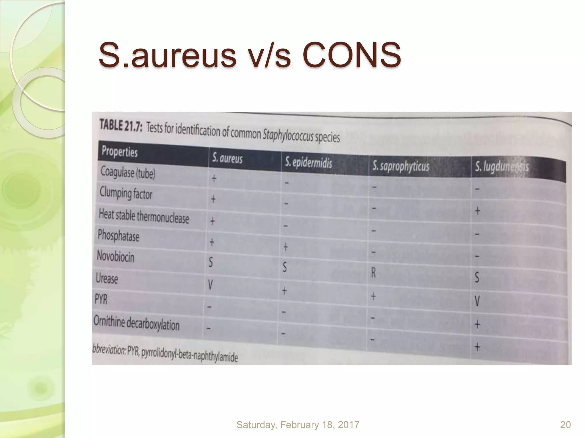 S.aureus v/s CONS
Saturday, February 18, 2017 20
 