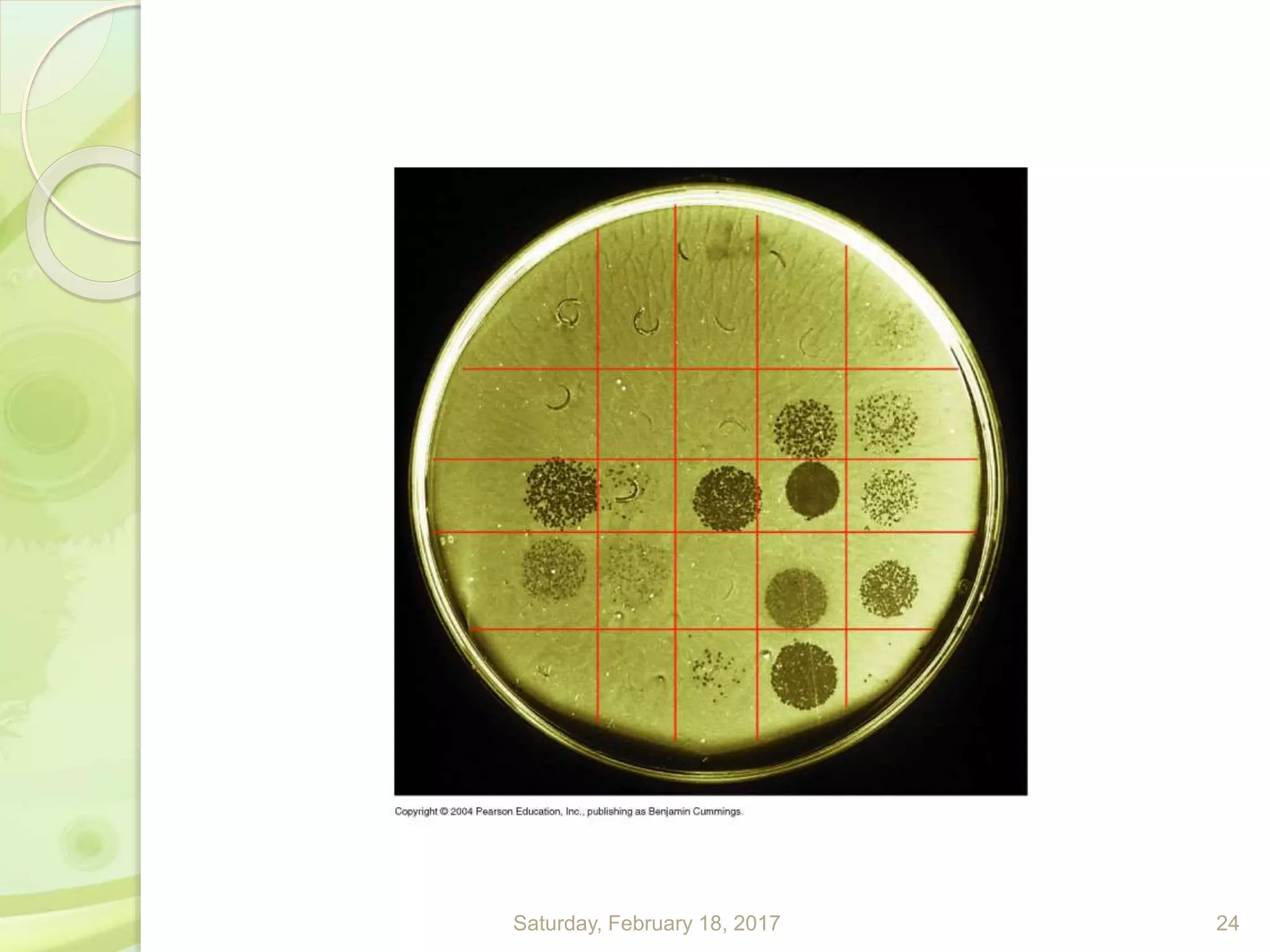 Saturday, February 18, 2017 24
 