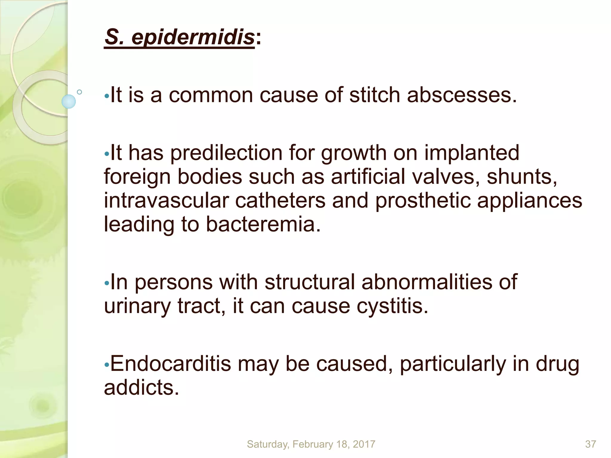 S. epidermidis:
•It is a common cause of stitch abscesses.
•It has predilection for growth on implanted
foreign bodies such as artificial valves, shunts,
intravascular catheters and prosthetic appliances
leading to bacteremia.
•In persons with structural abnormalities of
urinary tract, it can cause cystitis.
•Endocarditis may be caused, particularly in drug
addicts.
Saturday, February 18, 2017 37
 