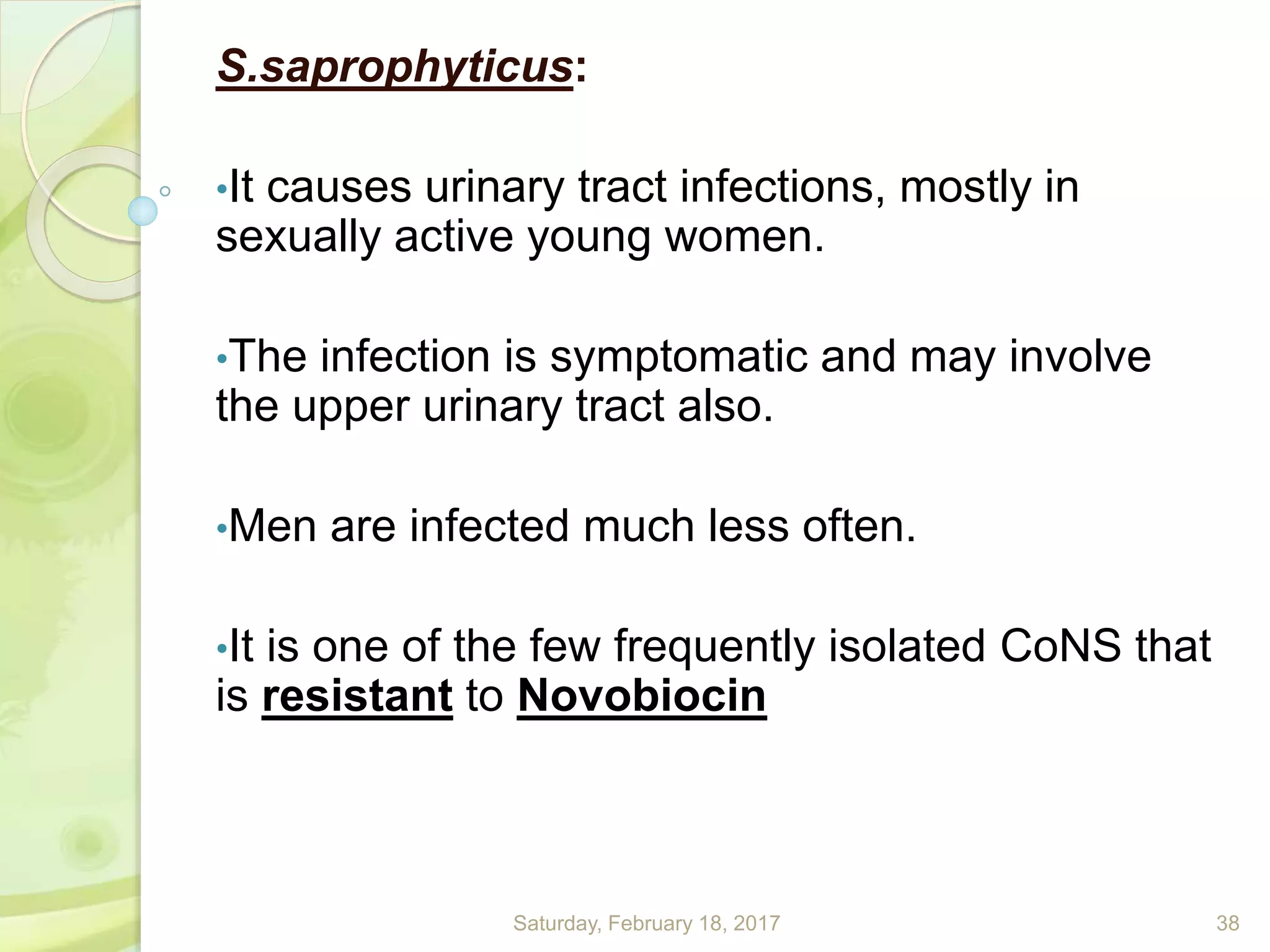 S.saprophyticus:
•It causes urinary tract infections, mostly in
sexually active young women.
•The infection is symptomatic and may involve
the upper urinary tract also.
•Men are infected much less often.
•It is one of the few frequently isolated CoNS that
is resistant to Novobiocin
Saturday, February 18, 2017 38
 