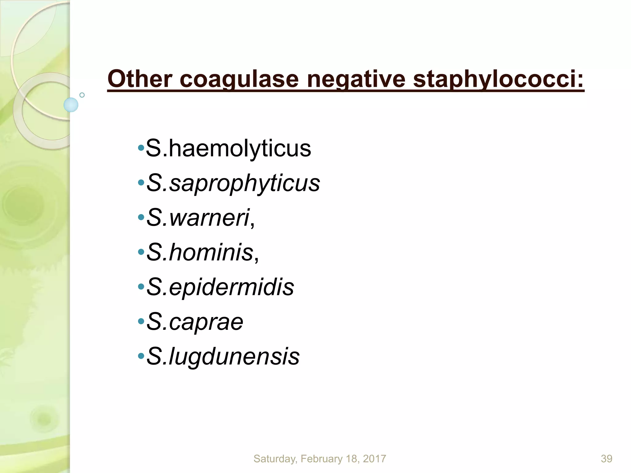 Other coagulase negative staphylococci:
•S.haemolyticus
•S.saprophyticus
•S.warneri,
•S.hominis,
•S.epidermidis
•S.caprae
•S.lugdunensis
Saturday, February 18, 2017 39
 