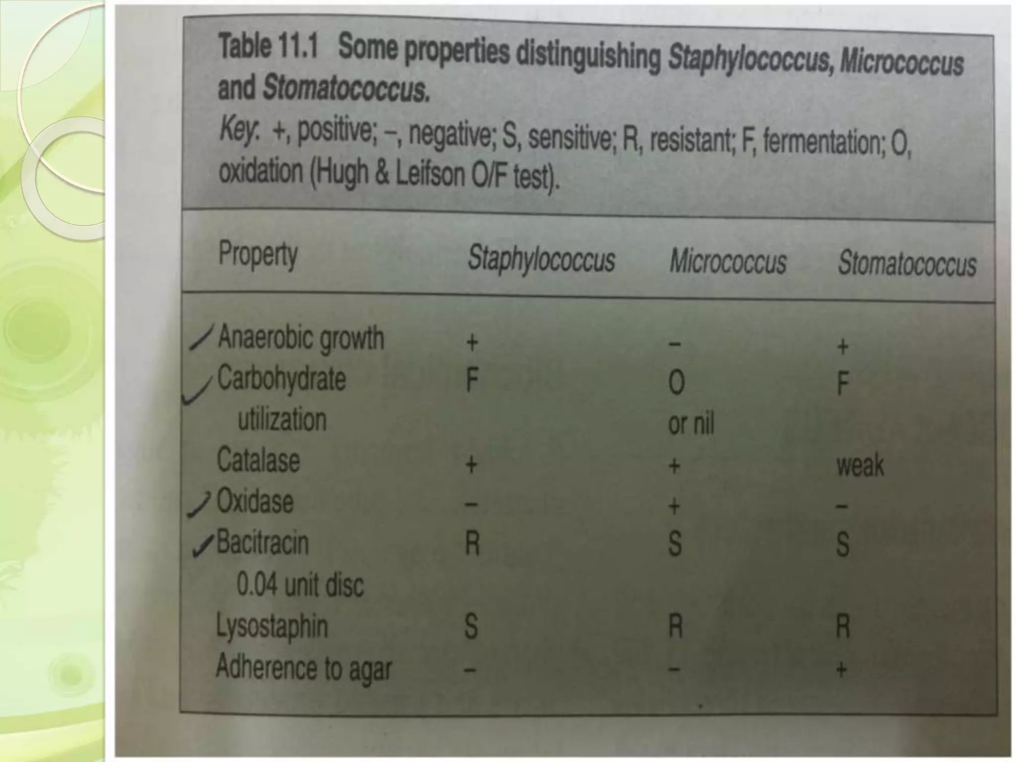 Saturday, February 18, 2017 40
 