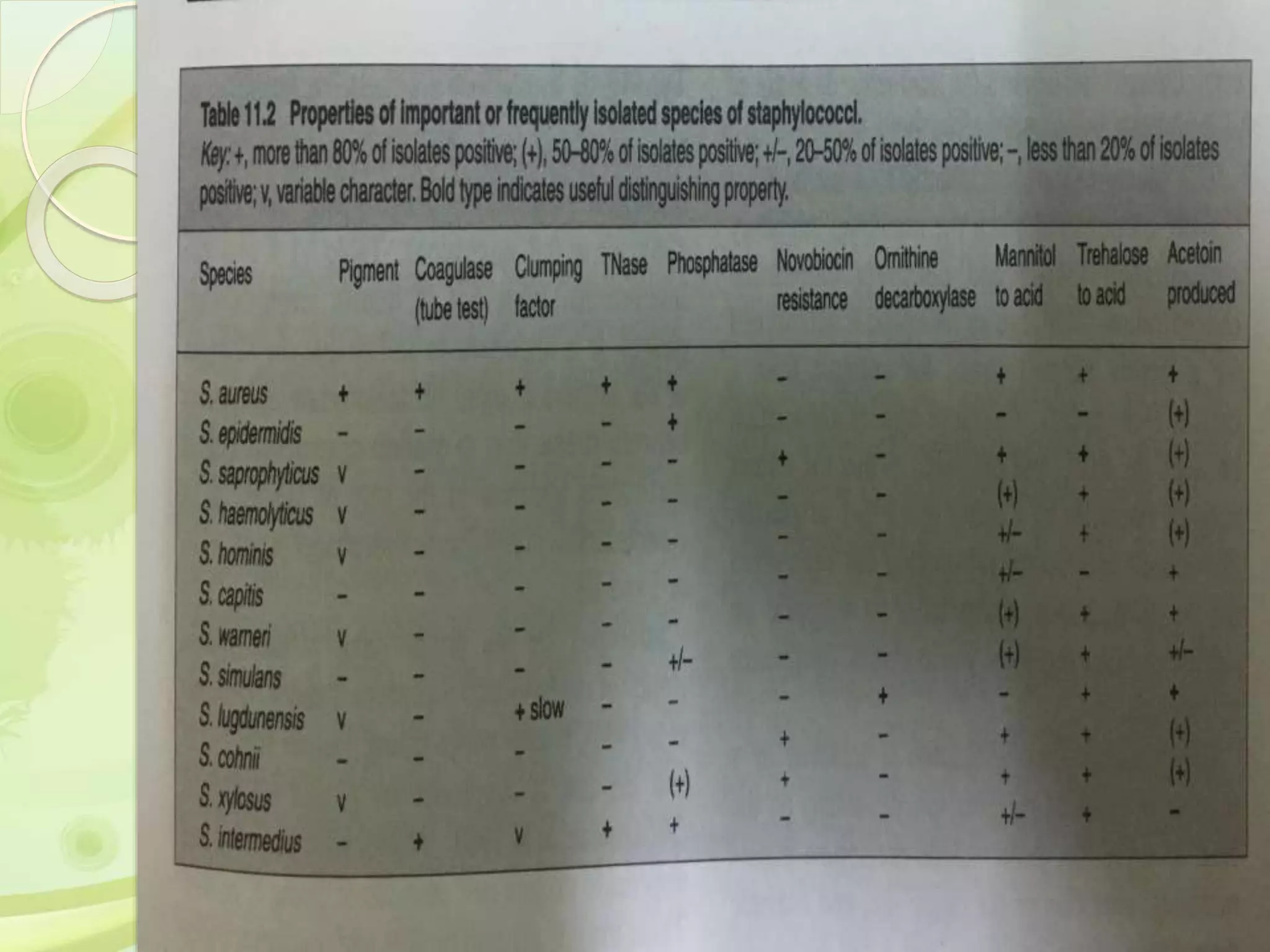Saturday, February 18, 2017 41
 