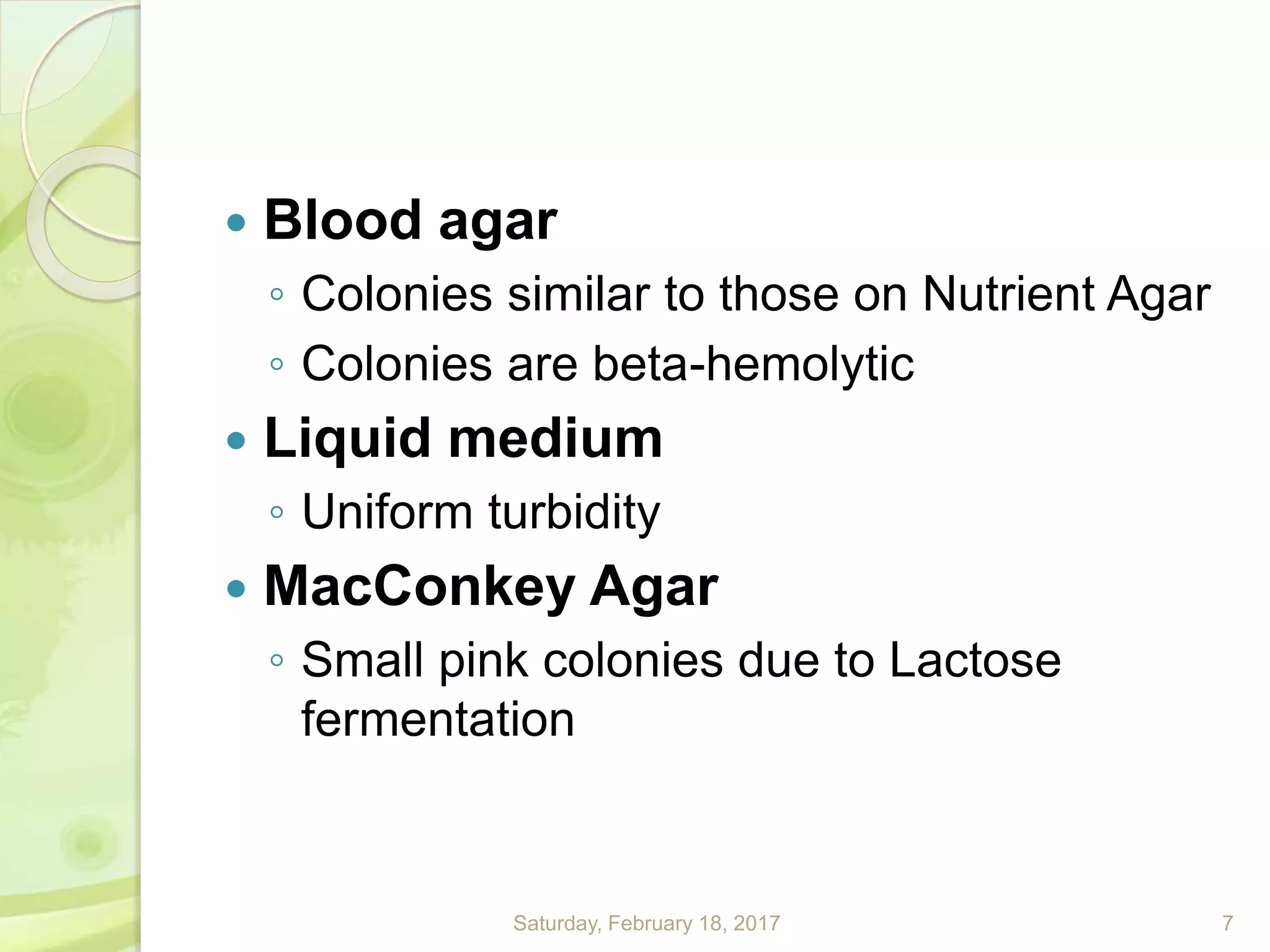  Blood agar
◦ Colonies similar to those on Nutrient Agar
◦ Colonies are beta-hemolytic
 Liquid medium
◦ Uniform turbidity
 MacConkey Agar
◦ Small pink colonies due to Lactose
fermentation
Saturday, February 18, 2017 7
 