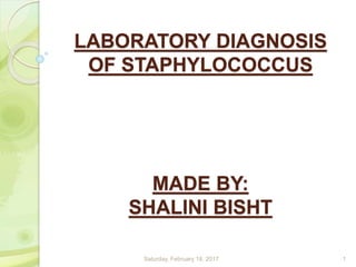 LABORATORY DIAGNOSIS
OF STAPHYLOCOCCUS
MADE BY:
SHALINI BISHT
Saturday, February 18, 2017 1
 