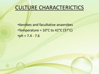 CULTURE CHARACTERICTICS
•Aerobes and facultative anaerobes
•Temperature = 10°C to 42°C (37°C)
•pH = 7.4 - 7.6
 